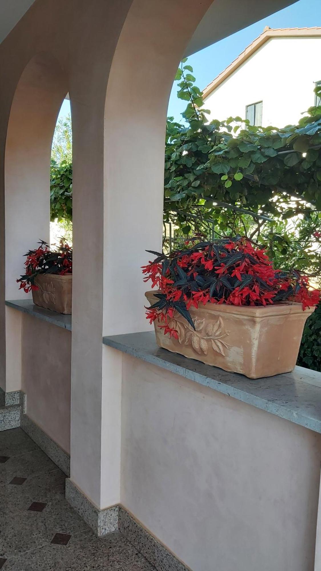 Apartments Villa Mirjam Poreč Dış mekan fotoğraf